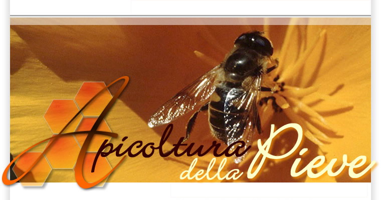 Apicoltura della Pieve
